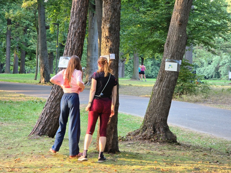 2025-08-20_malathon-chemnitz_32_baum_2besucherinnen_20250820_191313 (Kirsten Kötter)