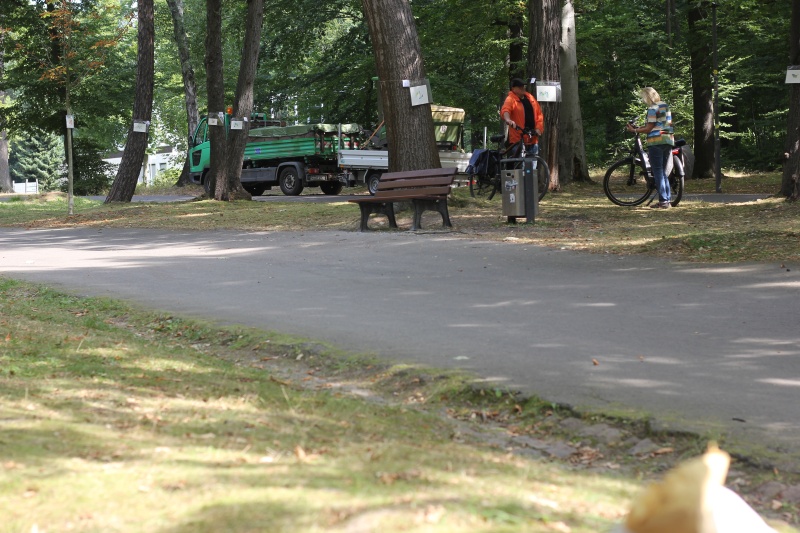 2025-08-20_malathon-chemnitz_baeume_besucher_2982 (Kirsten Kötter)