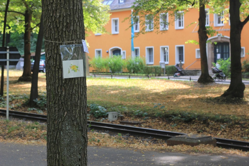 2025-08-21_malathon-chemnitz_38_baum_2957, watercolour, 12 × 17 cm (Kirsten Kötter)