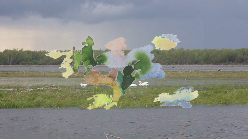 2017-04-13_video-slonsk-schwaene-montage, video still (Kirsten Kötter)