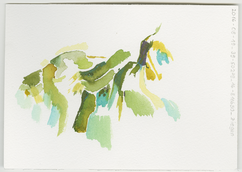 2016-08-19_39-50279_16-811650_ziegen, in the country between Pietrapaola Marina and Pietrapaola Paese (Italy, Calabria), water colour, 12 × 17 cm (Kirsten Kötter)