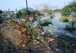 Kirsten Kötter: Site-specific Painting, Kibbuz Lotan, 2008