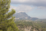 Foto von Peter Sandner zu Kirsten Kötter: Painting Site Specific, Malerei vor Ort, Blick zur Montaigne Sainte-Victoire vom Berg La Habane, 03.10.2013