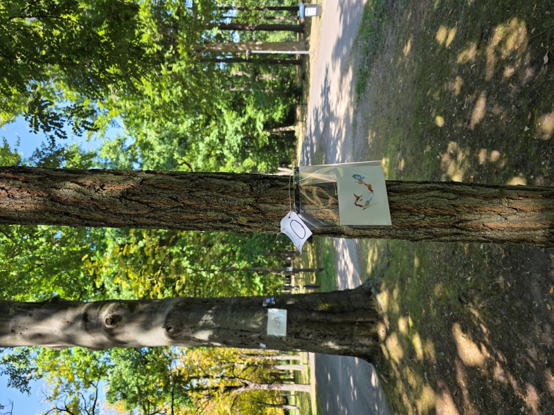 2025-08-20_malathon-chemnitz_20_20250820_123430, watercolour, 12 × 17 cm (Kirsten Kötter)