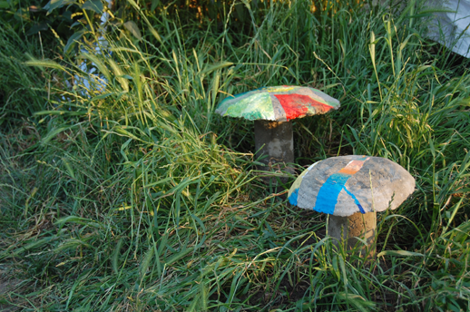 Pilze neben Kompost des Allmende-Garten (Heiß-Kompost) von Martina Kolarek, https://www.die-boden-schafft.de, Tempelhofer Feld, Neukölln, Berlin (Foto: Kirsten Kötter)